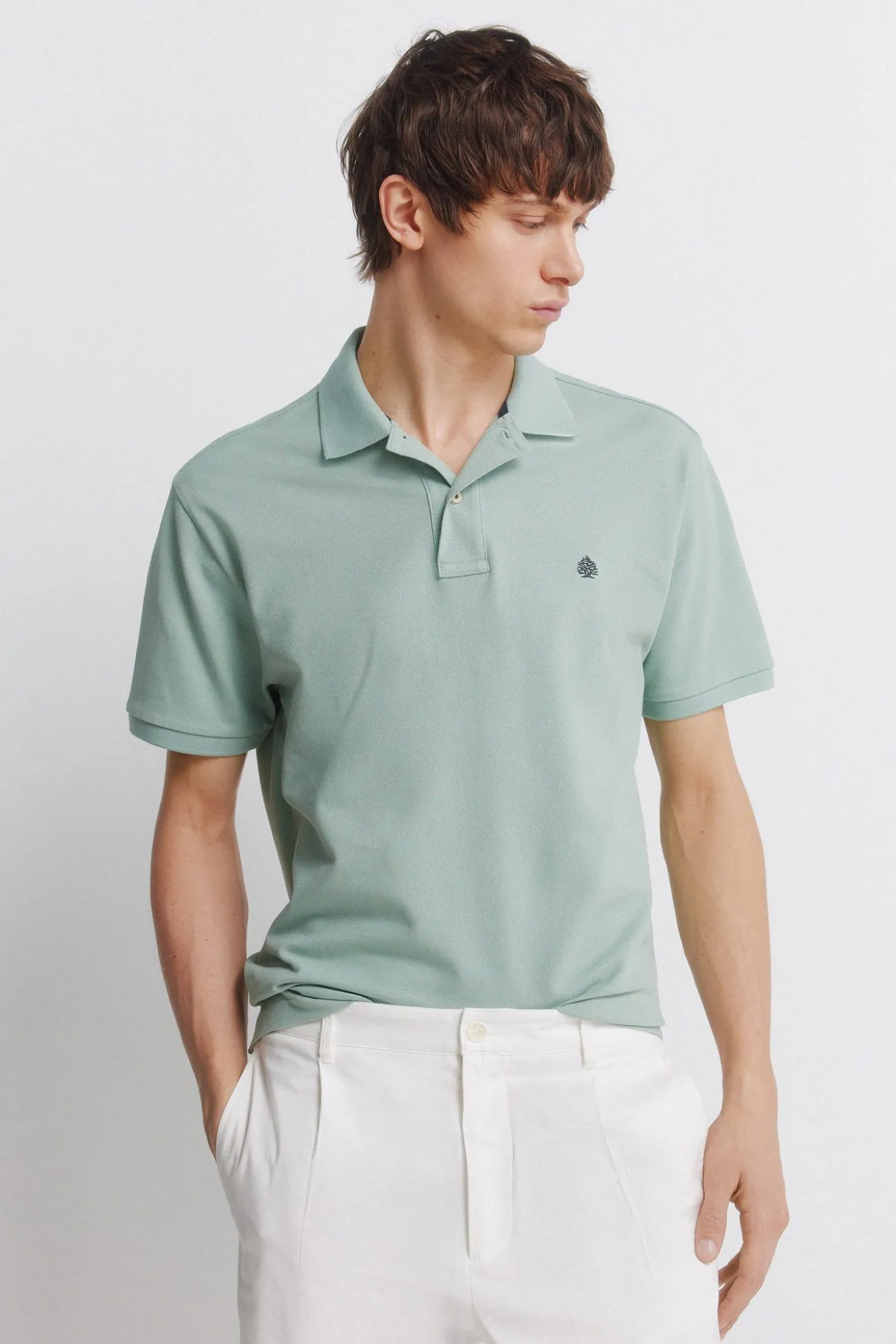 Polo basique regular fit Springfield