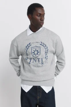 Sweat-shirt à écusson